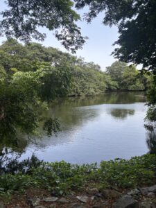 Manmade lake at Maharashtra Nature park